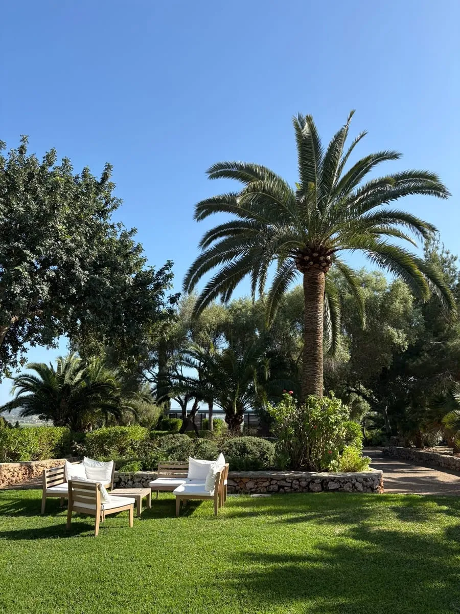 Garten der Finca mit Palme, Lounge-Möbeln und blauem Himmel